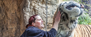 Arbeitssicherheit im Zoo