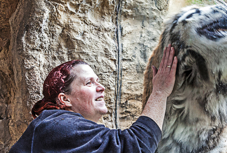 Arbeitssicherheit im Zoo