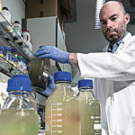 Abwassertest: COVID-19 Analyse