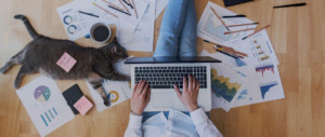 Homeoffice