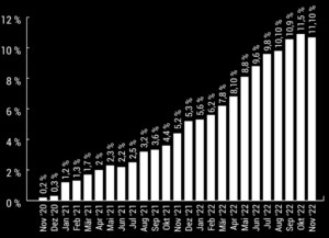 Zahlen und Fakten: Europäische Union: Inflationsrate von November 2021 bis November 2022