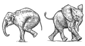 Eine Illustration von zwei Elefanten