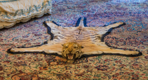 Gemusterter Teppich in Brauntönen, auf dem ein Tigerteppich mit Kopf liegt.